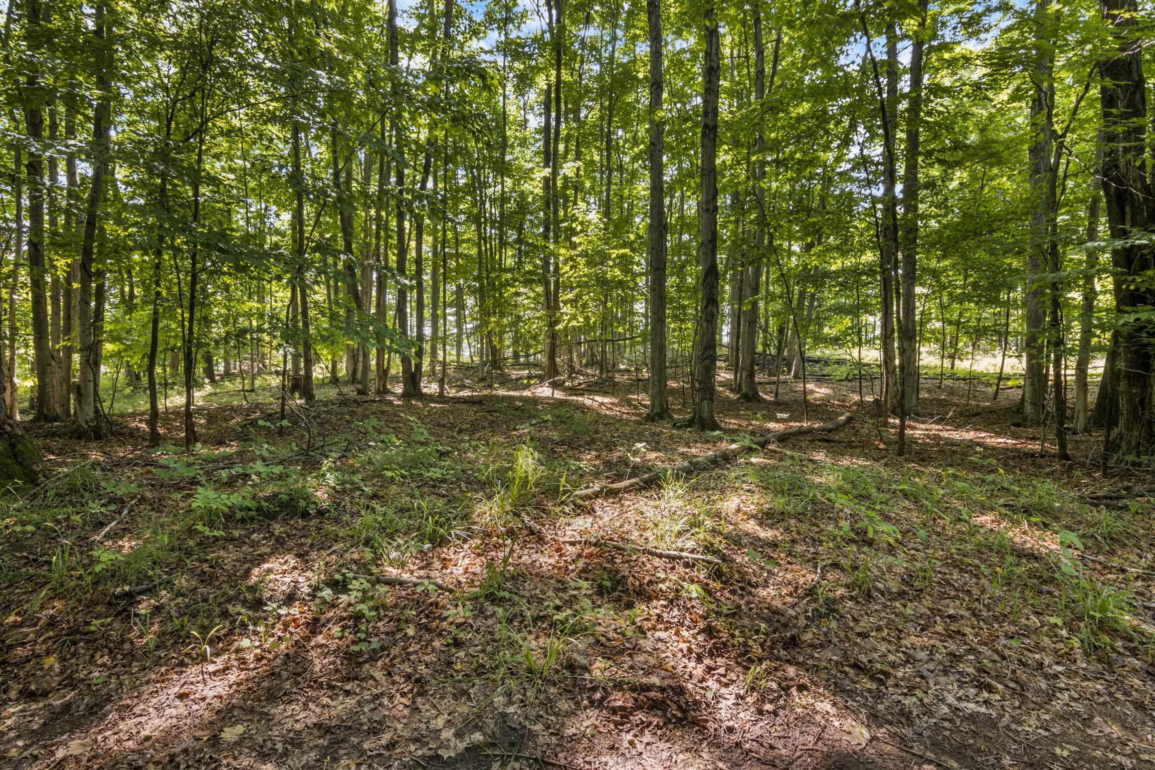 Rex Beach Road Ellsworth, MI 49729 - Photo 21 of 31 Gallery Image 21