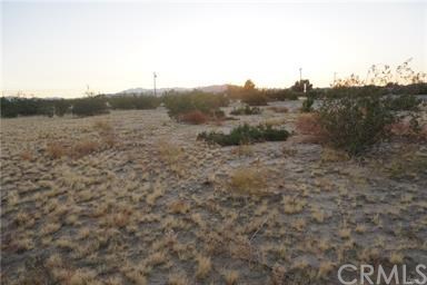 4913 Sunfair Road Joshua Tree, CA 92252 - Photo 1 of 1