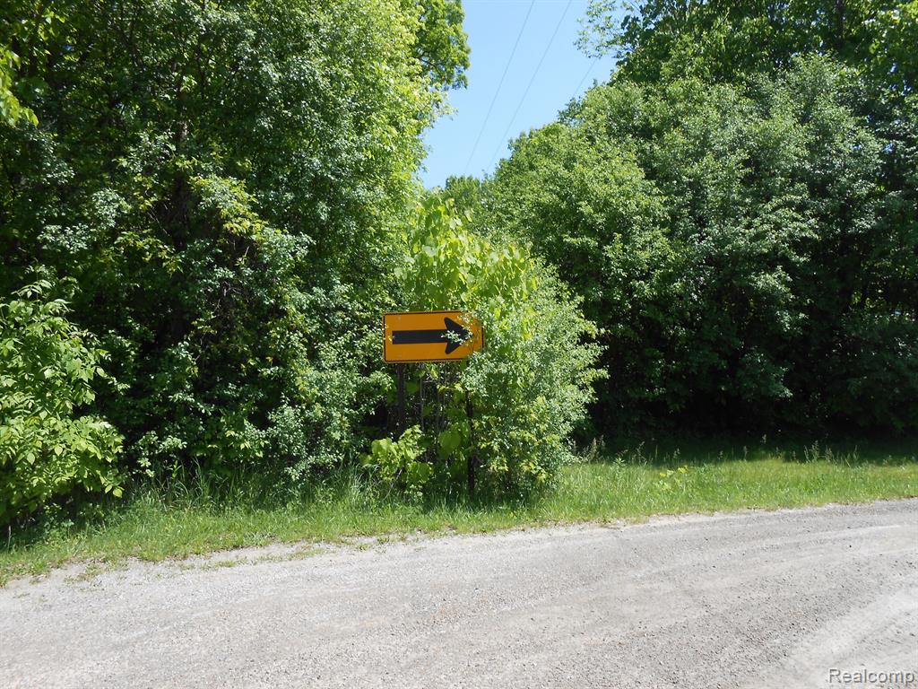 0 Oleksyn Road Flint, MI 48504 - Photo 3 of 4