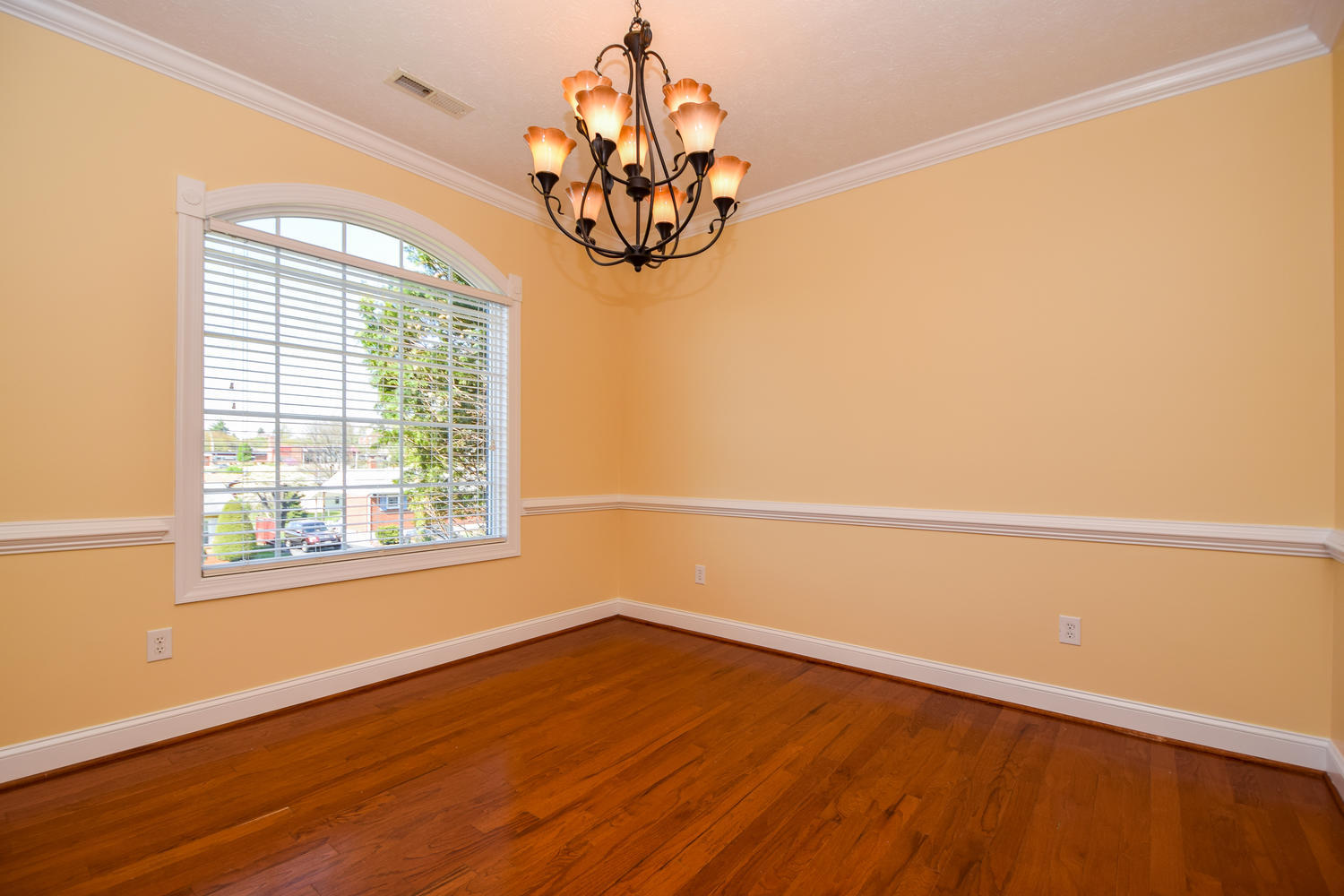 1131 Mountain View Road Vinton, VA 24179 - Photo 4 of 29 1131 Mountain View Rd Vinton-large-004-1