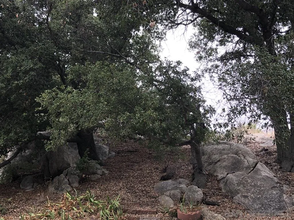1601 Jewel Valley Road Boulevard, CA 91905 - Photo 23 of 24 Gallery Image 23