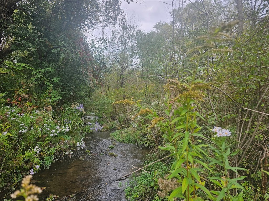 Marbletown Marbletown Road Arcadia, NY 14513 - Photo 11 of 28