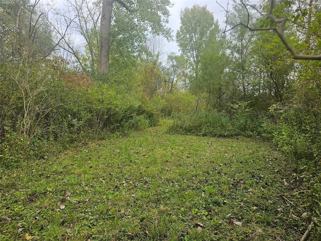 Marbletown Marbletown Road Arcadia, NY 14513 - Photo 13 of 28