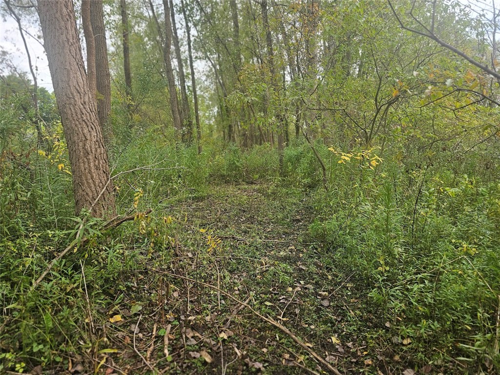 Marbletown Marbletown Road Arcadia, NY 14513 - Photo 14 of 28