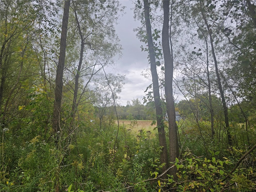 Marbletown Marbletown Road Arcadia, NY 14513 - Photo 15 of 28