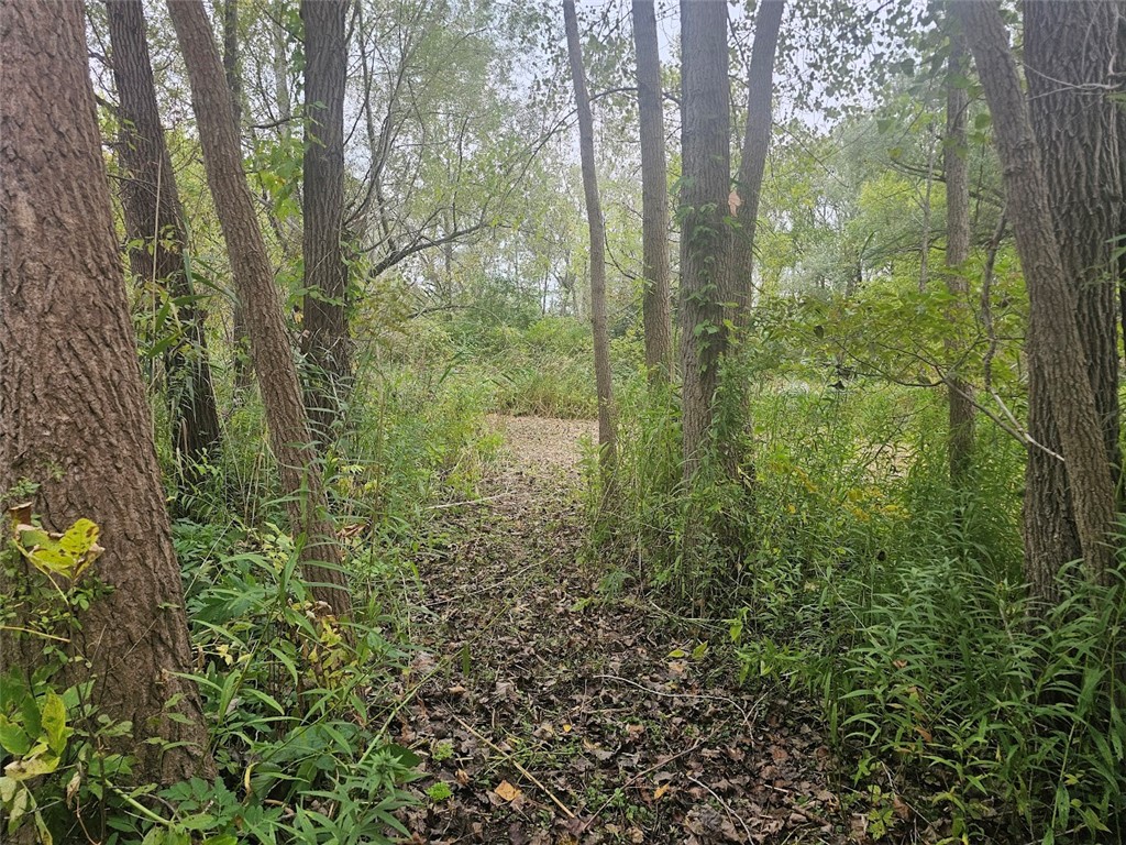 Marbletown Marbletown Road Arcadia, NY 14513 - Photo 16 of 28