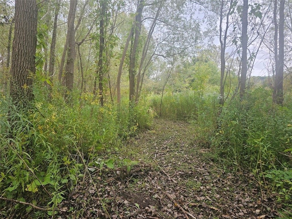 Marbletown Marbletown Road Arcadia, NY 14513 - Photo 17 of 28