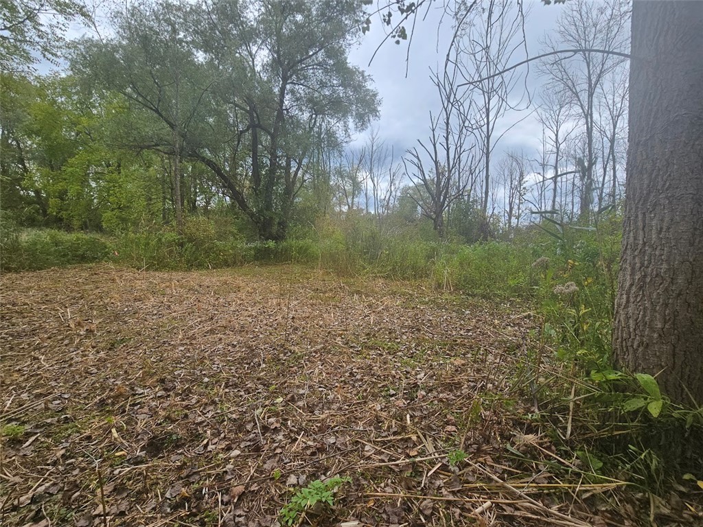 Marbletown Marbletown Road Arcadia, NY 14513 - Photo 18 of 28