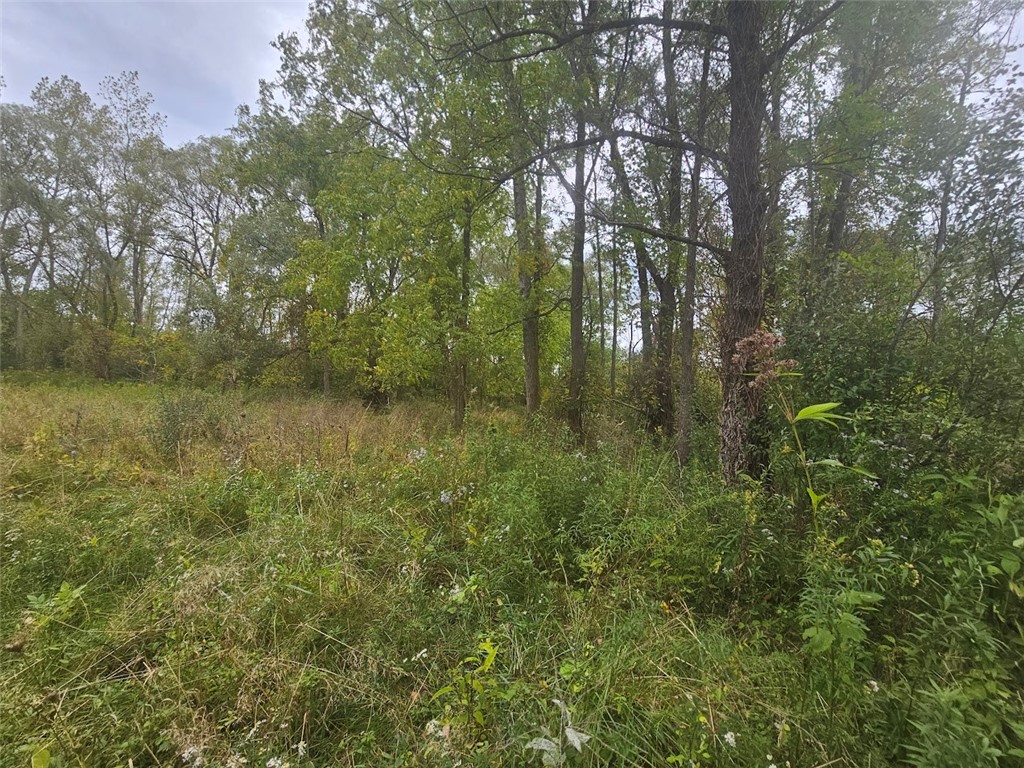 Marbletown Marbletown Road Arcadia, NY 14513 - Photo 19 of 28