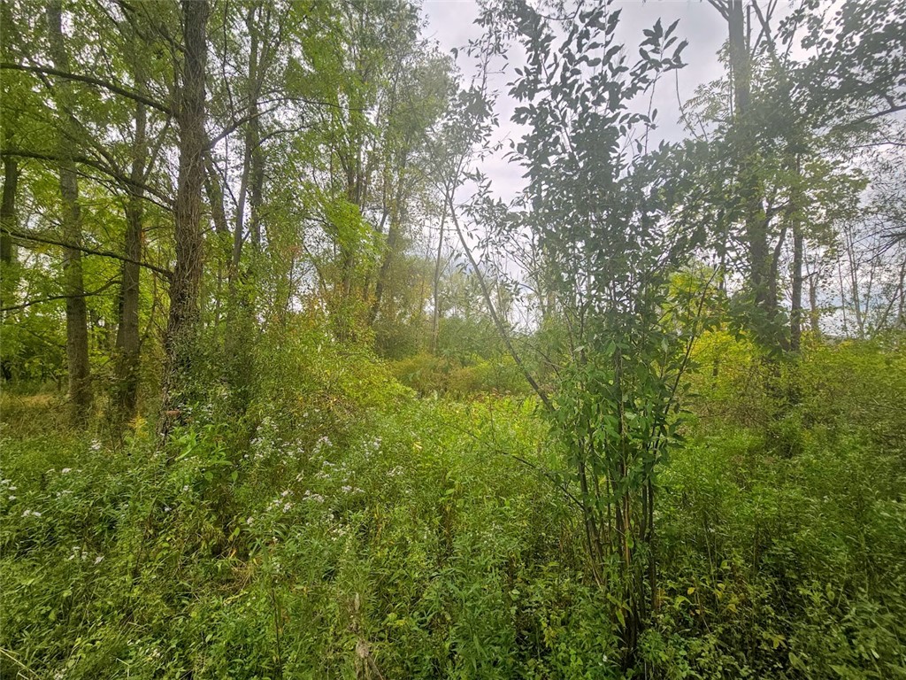 Marbletown Marbletown Road Arcadia, NY 14513 - Photo 20 of 28