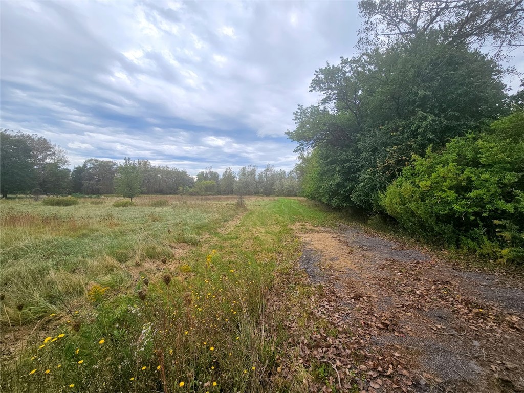 Marbletown Marbletown Road Arcadia, NY 14513 - Photo 23 of 28