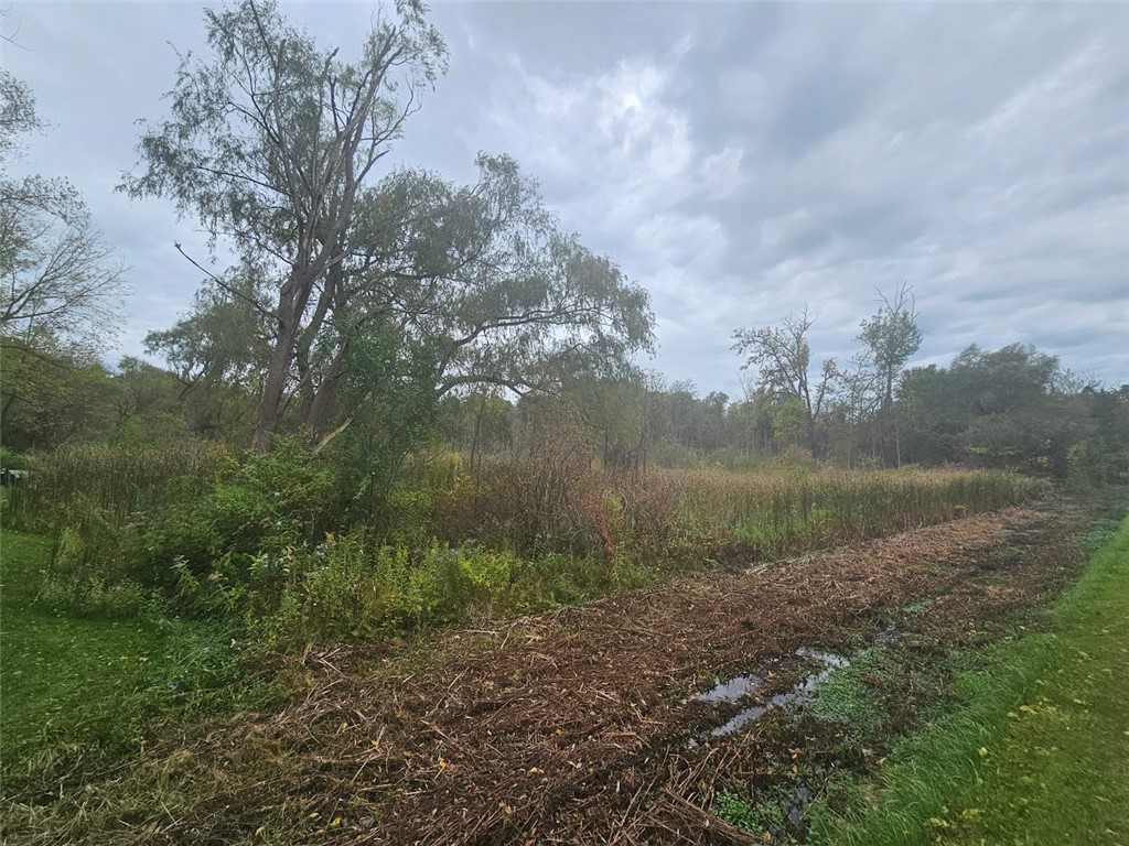 Marbletown Marbletown Road Arcadia, NY 14513 - Photo 24 of 28
