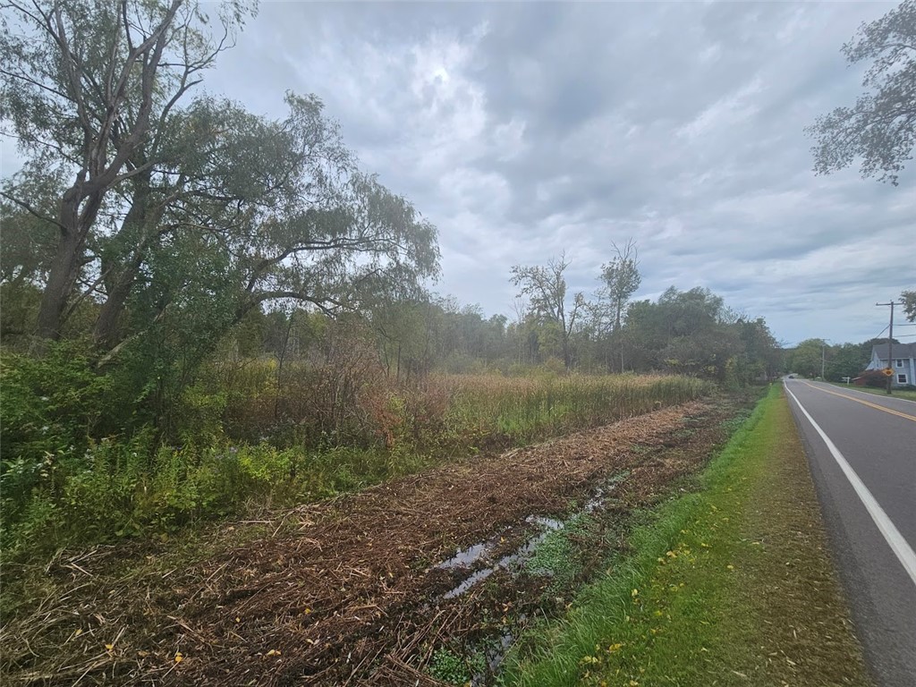 Marbletown Marbletown Road Arcadia, NY 14513 - Photo 25 of 28