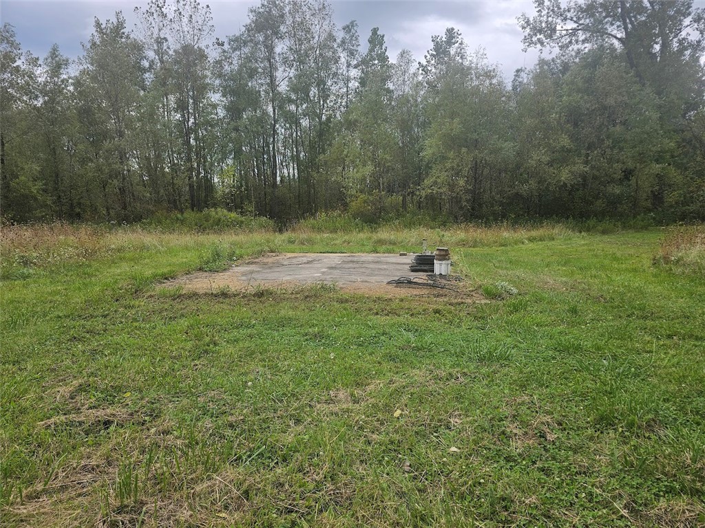 Marbletown Marbletown Road Arcadia, NY 14513 - Photo 4 of 28