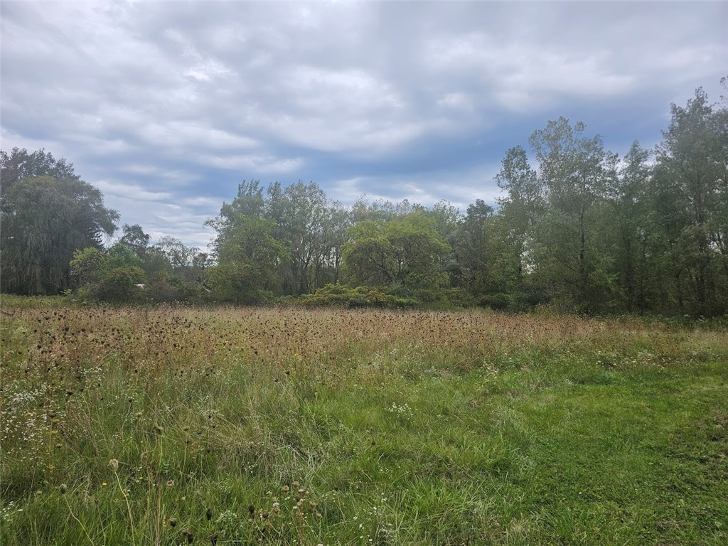 Marbletown Marbletown Road Arcadia, NY 14513 - Photo 6 of 28