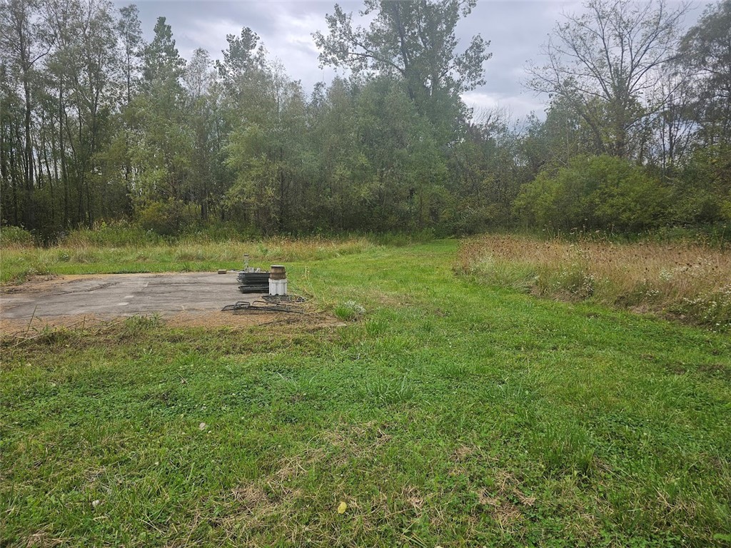 Marbletown Marbletown Road Arcadia, NY 14513 - Photo 7 of 28