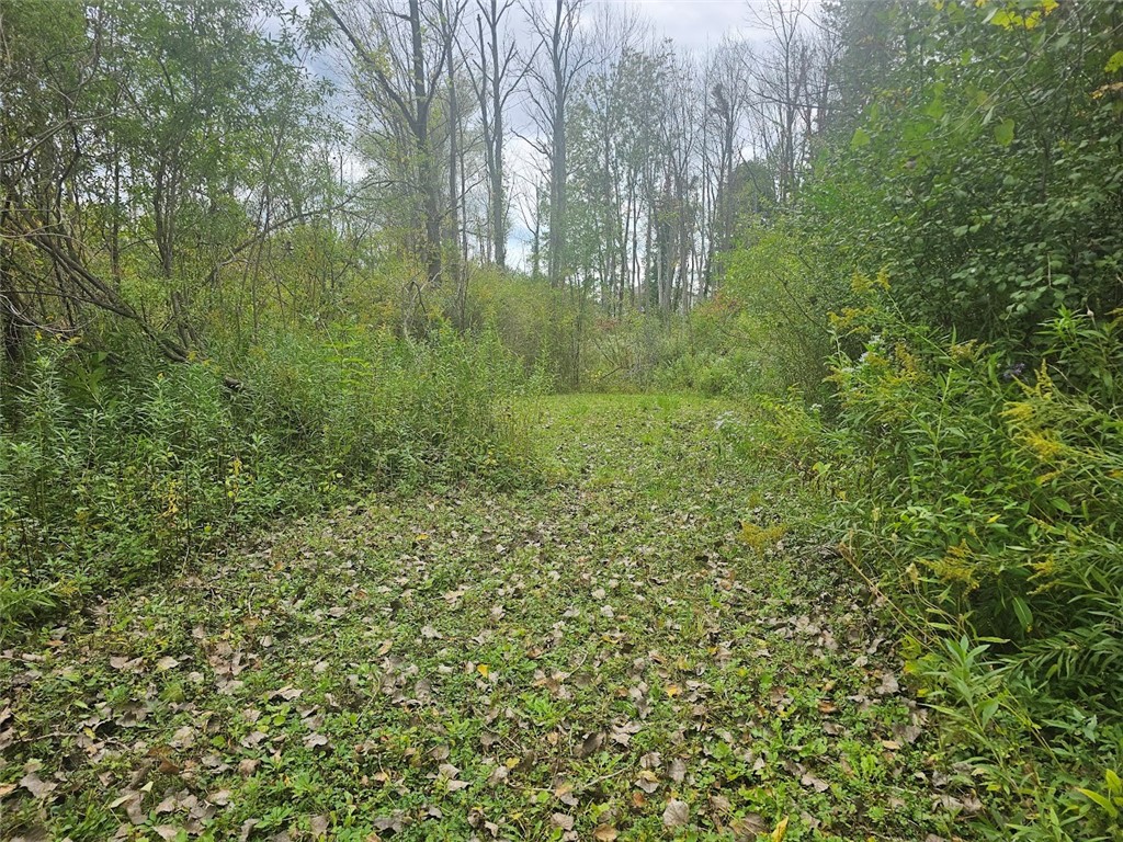 Marbletown Marbletown Road Arcadia, NY 14513 - Photo 9 of 28