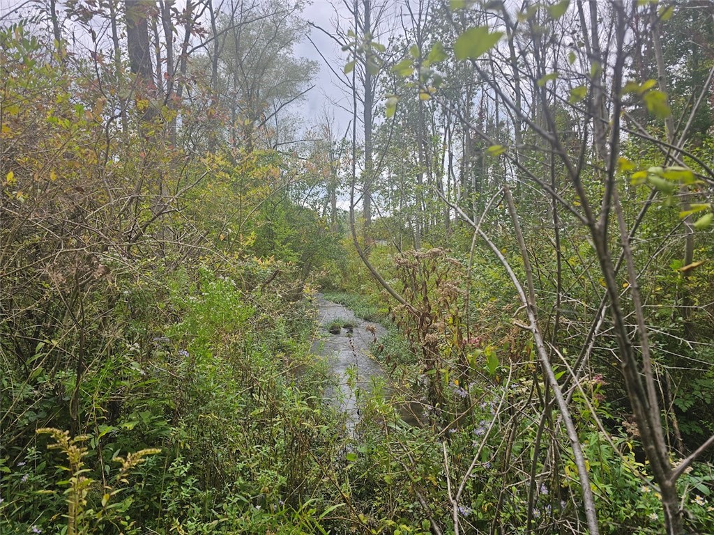 Marbletown Marbletown Road Arcadia, NY 14513 - Photo 10 of 28