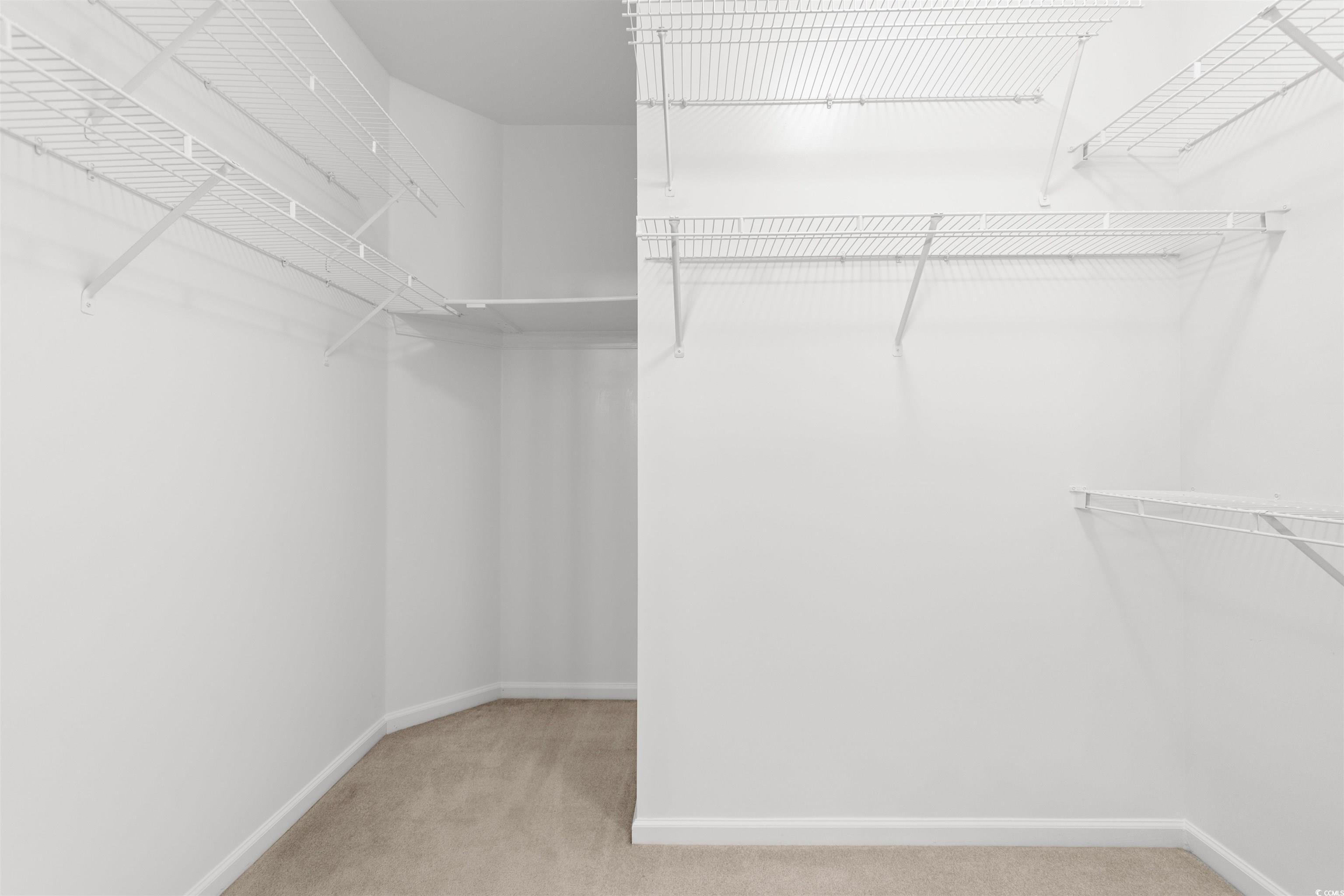4430 Lady Banks Lane, Unit A2 Murrells Inlet, SC 29576 - Photo 23 of 31 Walk in closet featuring light colored carpet