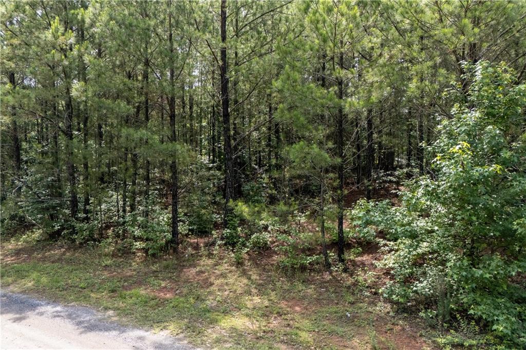 0 Ono Road Palmetto, GA 30268 - Photo 4 of 23