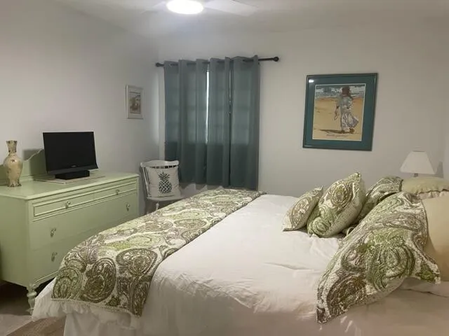 a bedroom with a bed and a television
