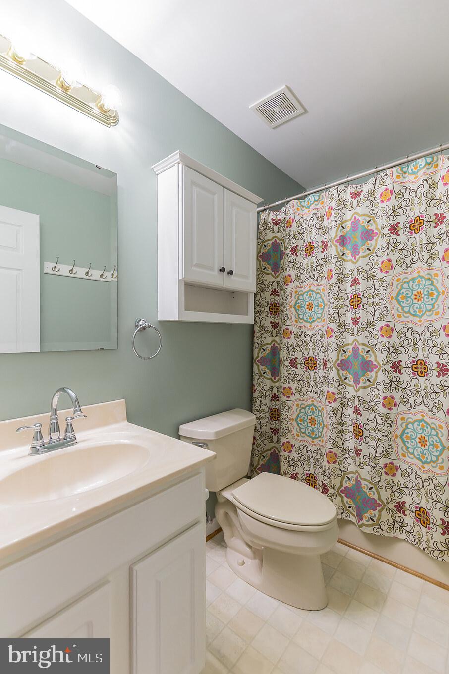2750 Dalrymple Road Sunderland, MD 20689 - Photo 19 of 28 a bathroom with a sink a toilet and shower curtain
