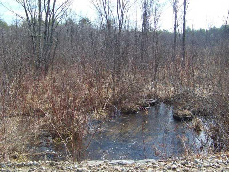 Lot 5 Lewis Hill Road West Newfield, ME 04095 - Photo 3 of 12 Land/Lot.