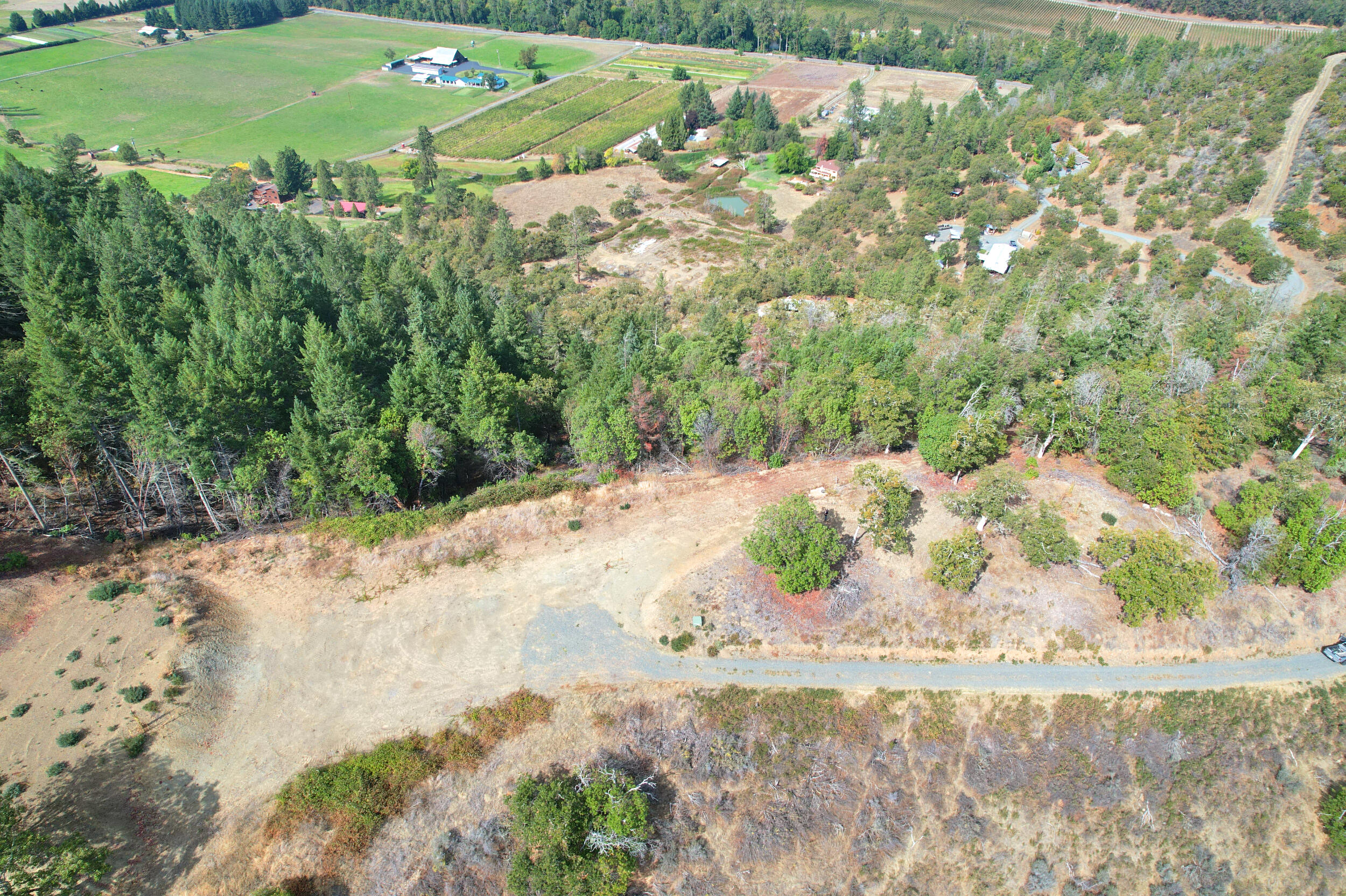 550 Thompson Creek Road Jacksonville, OR 97530 - Photo 2 of 23
