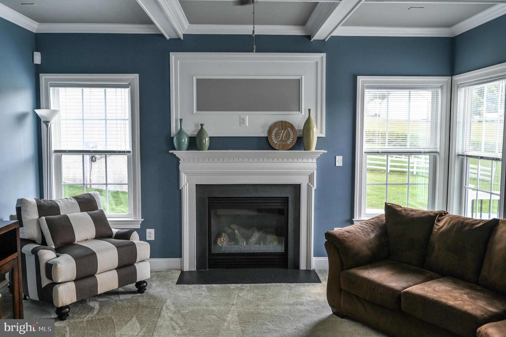 2528 Codorus Lane Spring Grove, PA 17362 - Photo 12 of 77 a living room with furniture and a fireplace