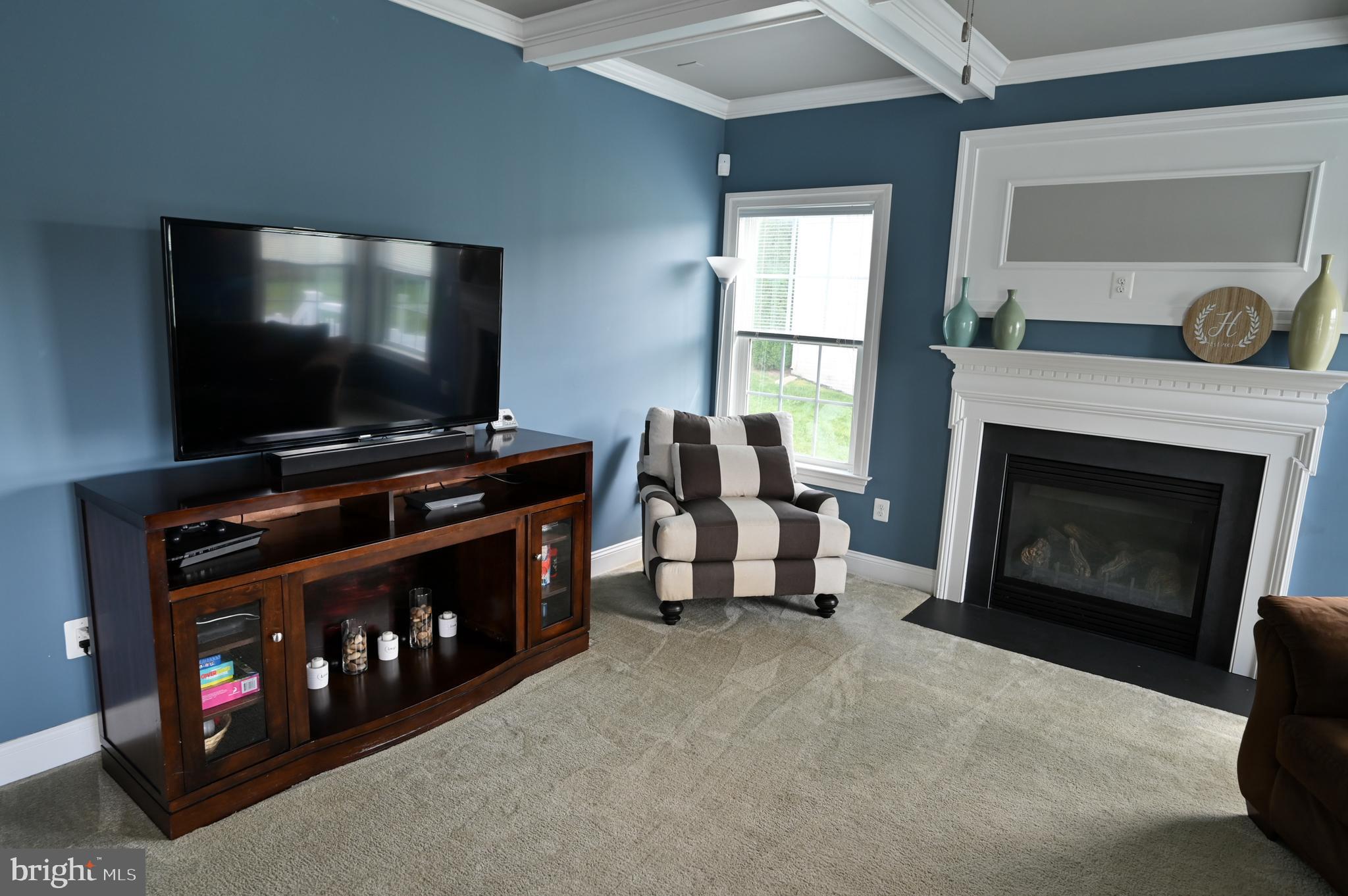 2528 Codorus Lane Spring Grove, PA 17362 - Photo 13 of 77 a living room with furniture a fireplace and a flat screen tv