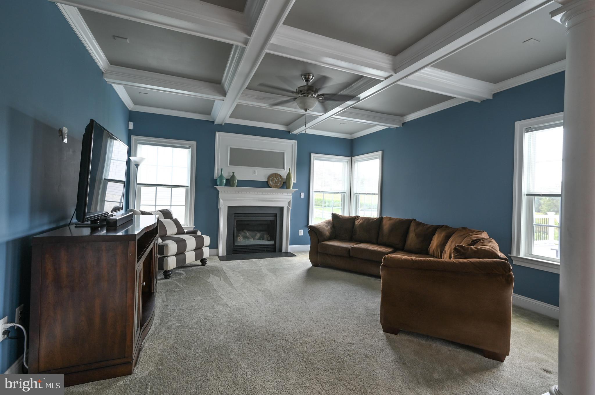 2528 Codorus Lane Spring Grove, PA 17362 - Photo 14 of 77 a living room with furniture and a fireplace