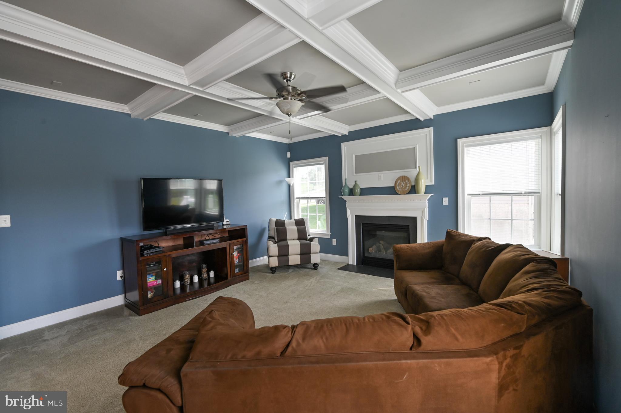 2528 Codorus Lane Spring Grove, PA 17362 - Photo 17 of 77 a living room with furniture a flat screen tv and a fireplace