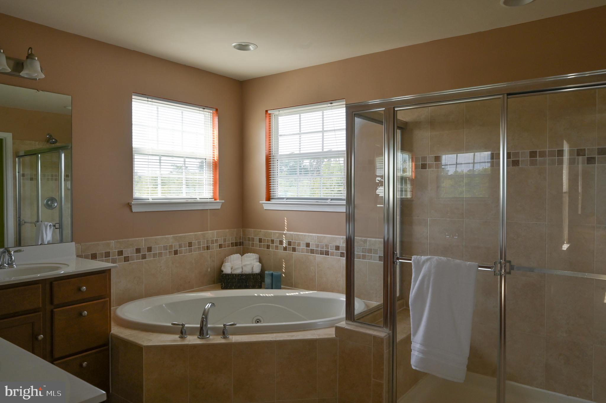 2528 Codorus Lane Spring Grove, PA 17362 - Photo 48 of 77 a bathroom with a tub a sink a window and a shower