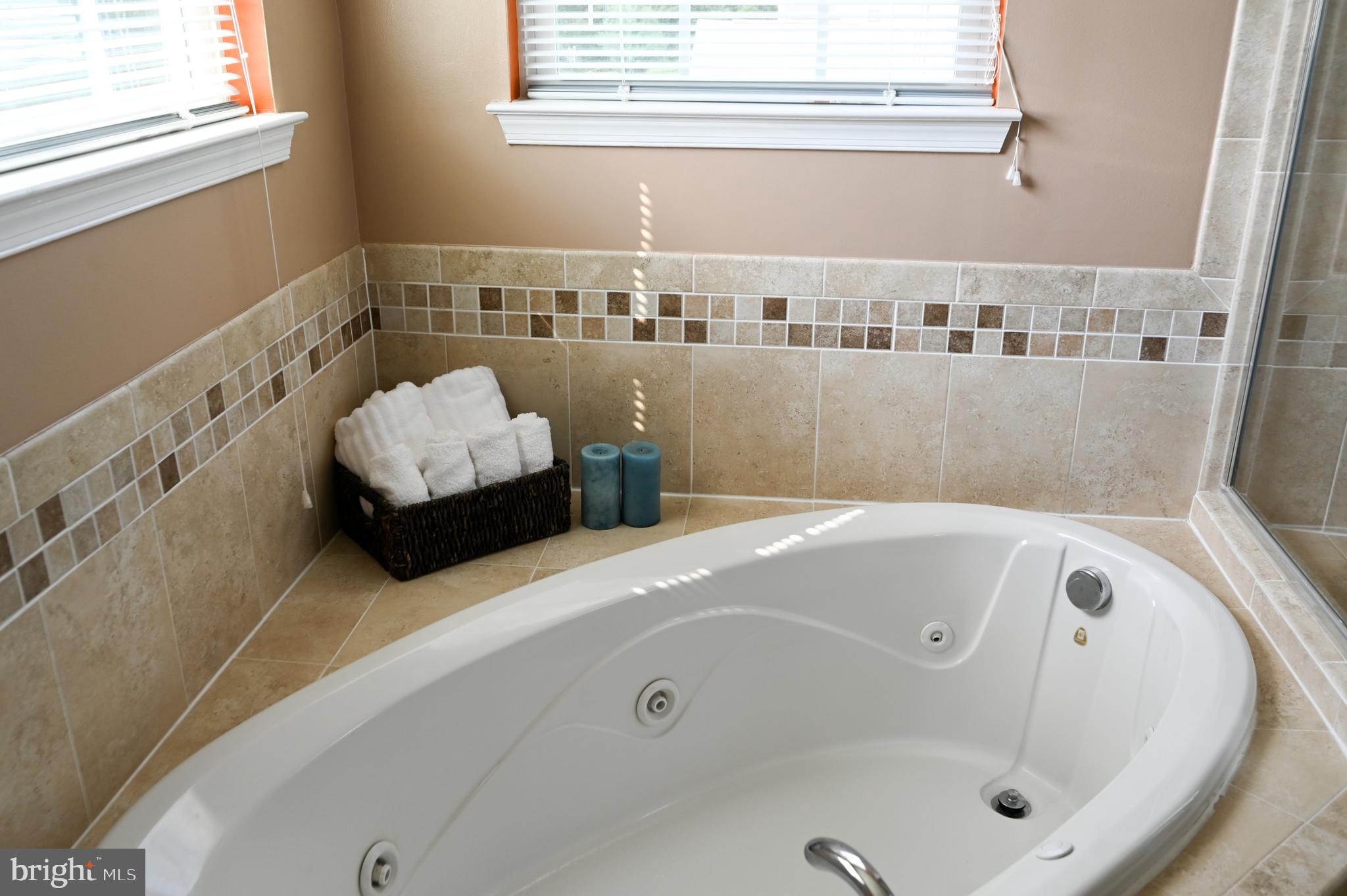 2528 Codorus Lane Spring Grove, PA 17362 - Photo 52 of 77 a bathroom with a tub and a sink
