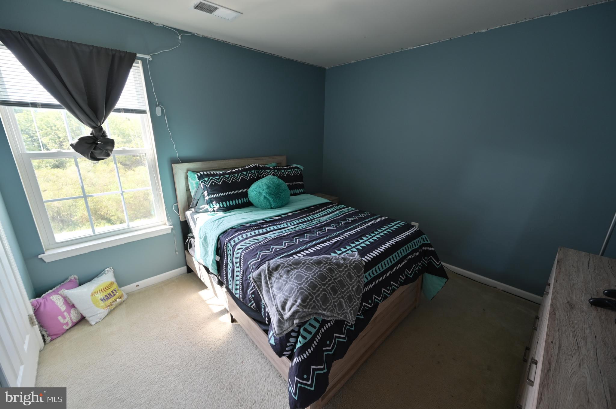 2528 Codorus Lane Spring Grove, PA 17362 - Photo 57 of 77