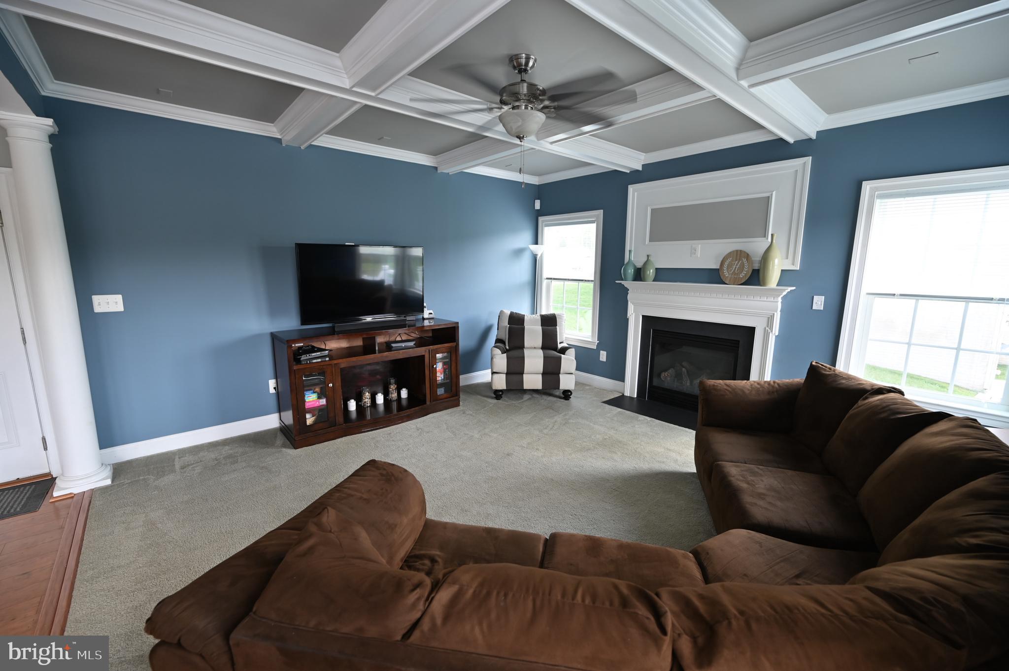 2528 Codorus Lane Spring Grove, PA 17362 - Photo 9 of 77 a living room with furniture and a fireplace