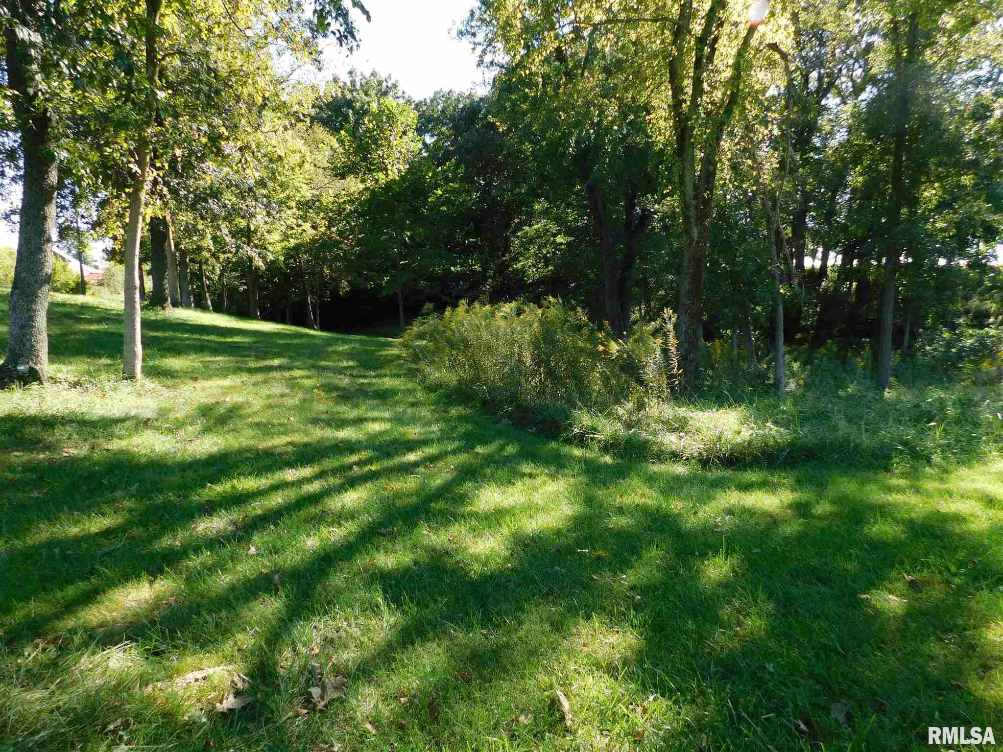 25921 Mt Ragan Road Hettick, IL 62649 - Photo 44 of 48