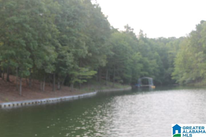 0 Red Cedar Drive, Unit 121 Wedowee, AL 36278 - Photo 7 of 21