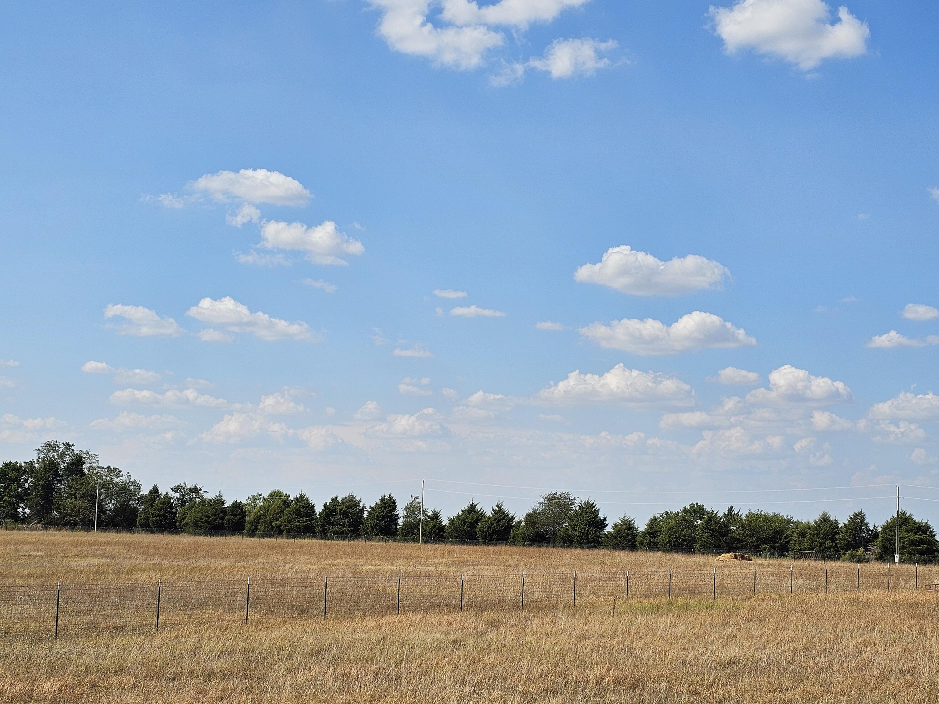 18127 State Rd H Monett, MO 65708 - Photo 14 of 65 20260909_151052