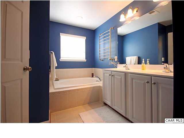 708 Rainier Road Charlottesville, VA 22903 - Photo 16 of 29 a bathroom with a bathtub and a sink
