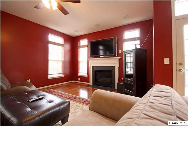 708 Rainier Road Charlottesville, VA 22903 - Photo 5 of 29 a living room with furniture a flat screen tv and a fireplace
