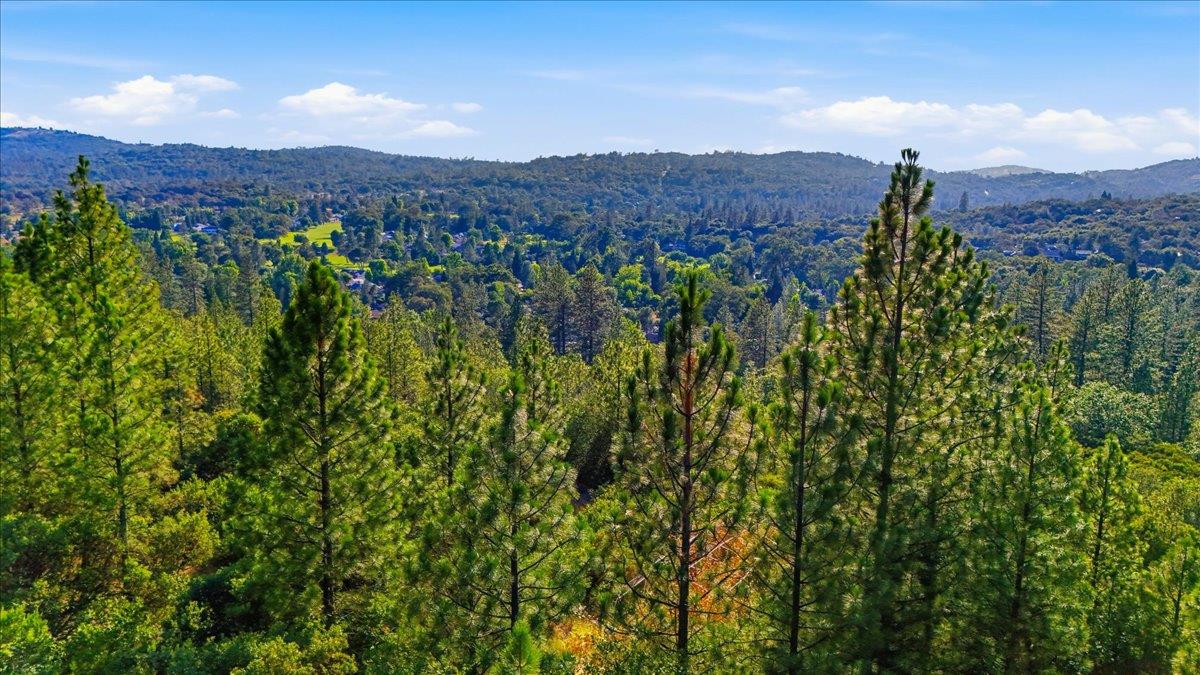 17436 Black Forest Road Penn Valley, CA 95946 - Photo 21 of 36