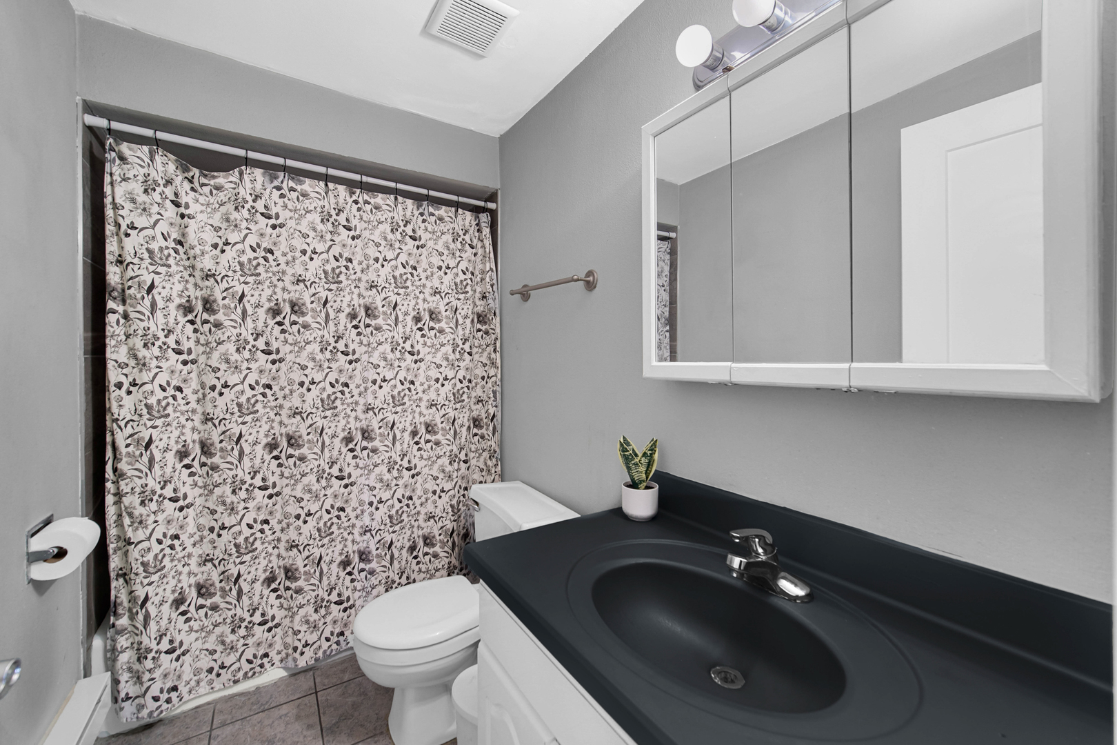 4550 West 57th Street, Unit 2A1 Chicago, IL 60629 - Photo 11 of 13