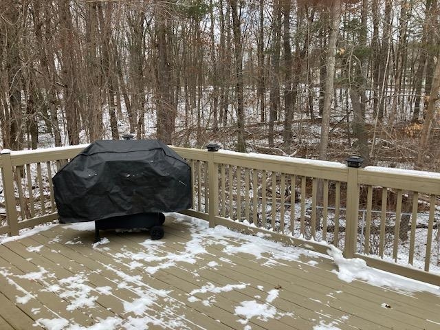 4 Blueberry Road Windham, NH 03087 - Photo 21 of 23