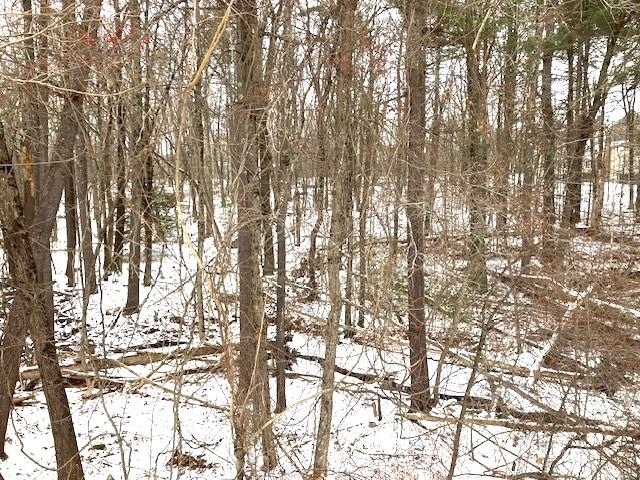 4 Blueberry Road Windham, NH 03087 - Photo 23 of 23