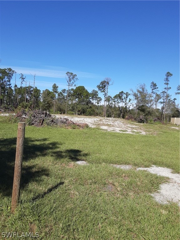 201 J4 Ranch Road Fort Denaud, FL 33935 - Photo 6 of 6 Gallery Image 6