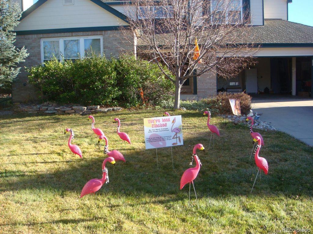 6722 Eagle Place Highlands Ranch, CO 80130 - Photo 28 of 34 a view of play ground and swimming pool
