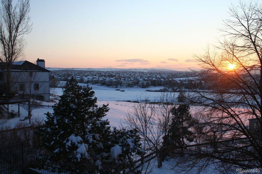 6722 Eagle Place Highlands Ranch, CO 80130 - Photo 31 of 34 a view of a lake in middle of the forest