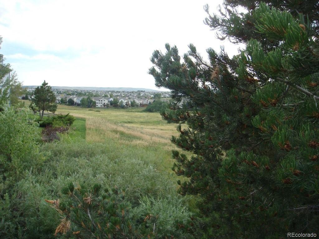 6722 Eagle Place Highlands Ranch, CO 80130 - Photo 34 of 34 a view of a lake and green valley