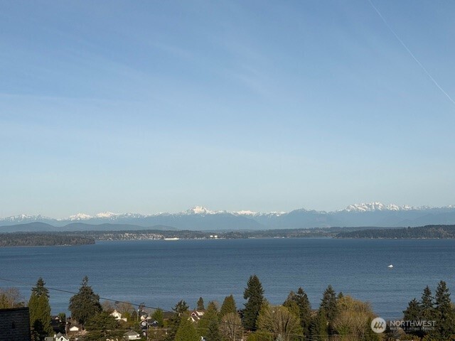 7341 California Avenue Southwest Seattle, WA 98136 - Photo 38 of 38 a view of a lake with a city